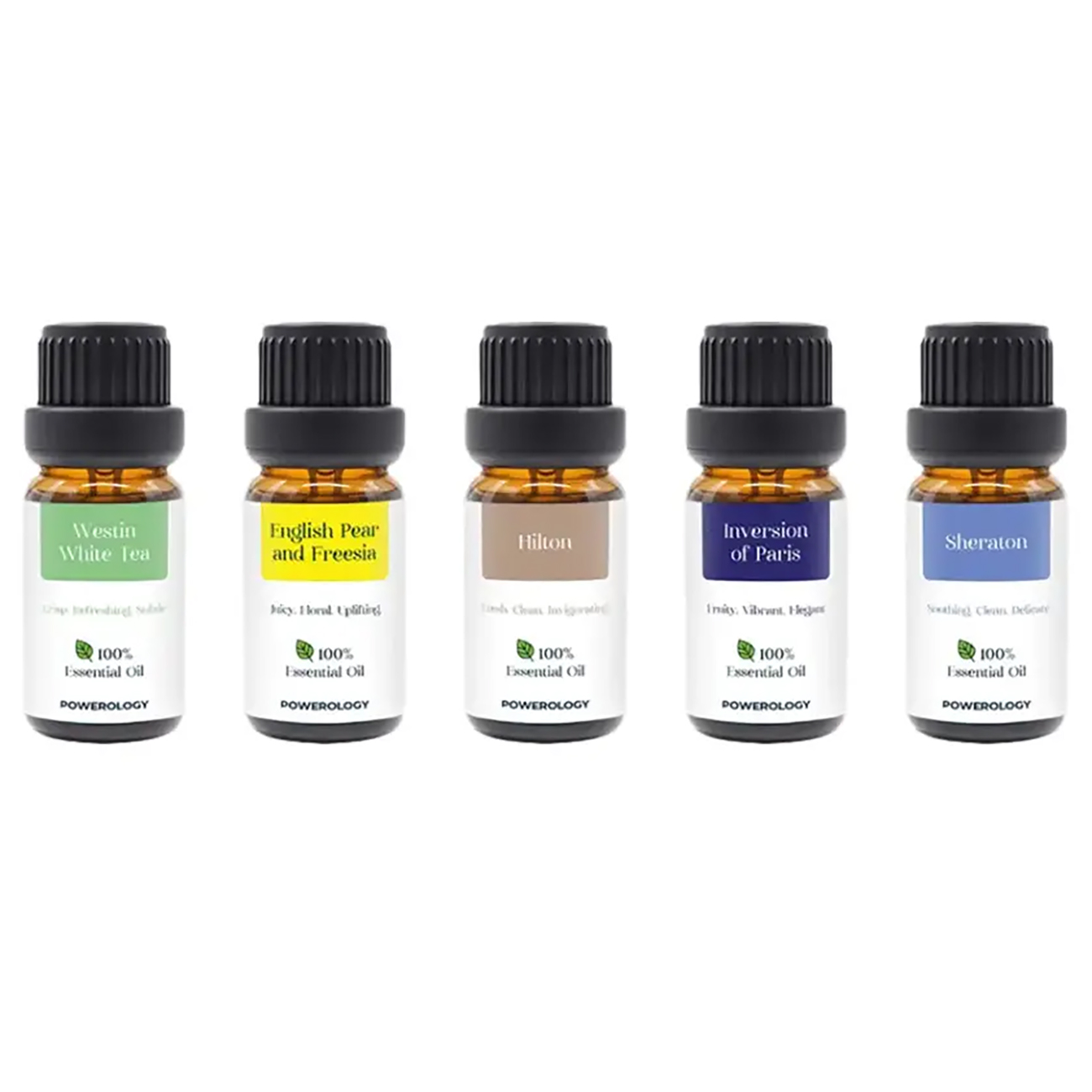 Powerology Luxury  Essential Oil Set / 10ml / 5 Fragrance Oils 