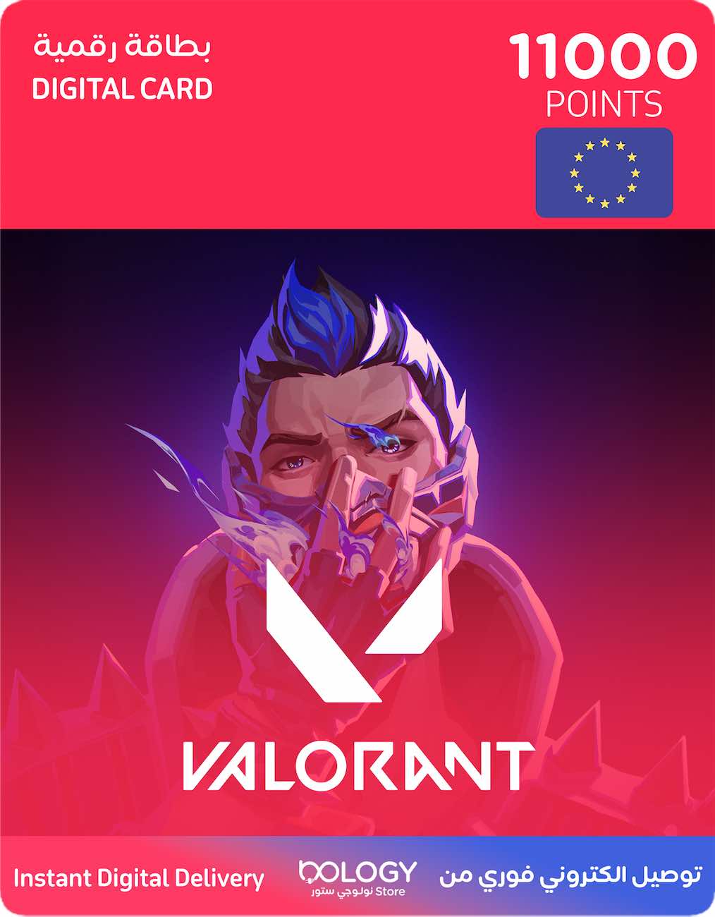 نقاط لعبة فالورانت / 100 يورو / 11000 نقطة